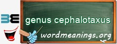 WordMeaning blackboard for genus cephalotaxus